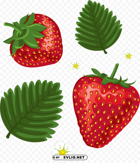 strawberrys Transparent pics clipart png photo - 391e66e2