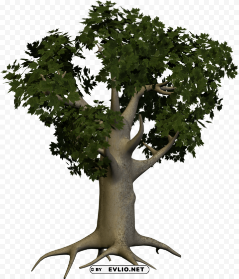 tree PNG images with no background comprehensive set