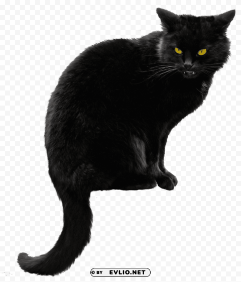 Black Cat PNG Isolated Illustration With Clear Background