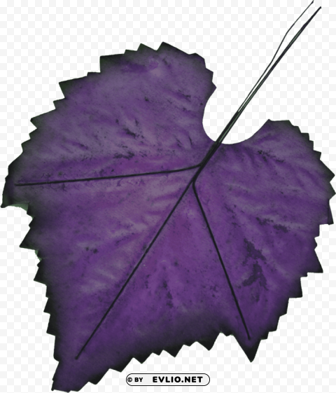 purple leaf Transparent PNG graphics variety PNG transparent with Clear Background ID e89a3eae