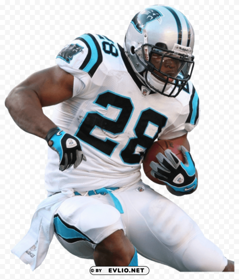 carolina panthers player stewart Isolated PNG Item in HighResolution