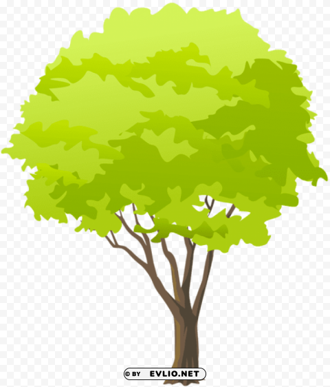 green tree PNG Image with Isolated Artwork