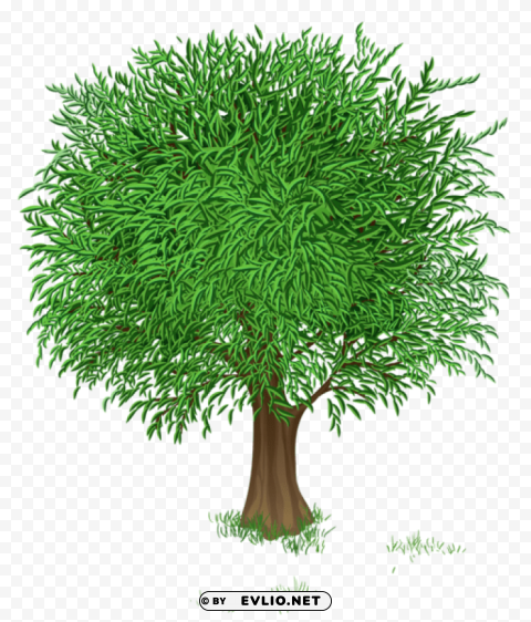 green tree transparentpicture Free PNG images with alpha channel