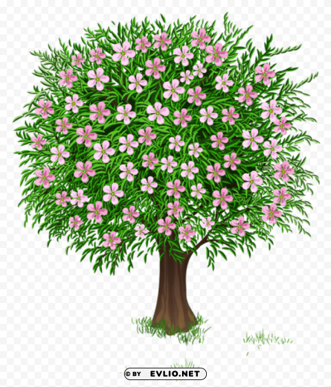 spring tree transparentpicture Clear PNG photos