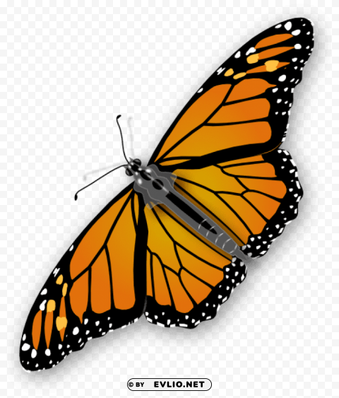 Butterfly Isolated Design Element On Transparent PNG