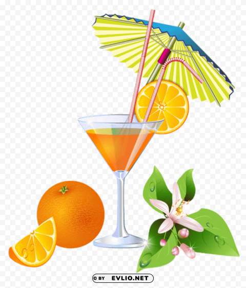 summer orange cocktail PNG transparent photos for design