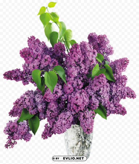 vase with purple lilacpicture Transparent PNG graphics assortment