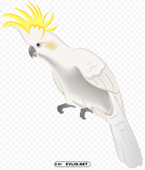 white parrot Isolated Icon on Transparent Background PNG