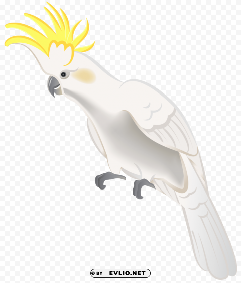 White Parrot Isolated Icon On Transparent Background PNG