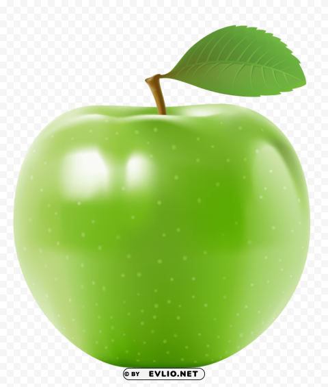 green apple's PNG with no background diverse variety