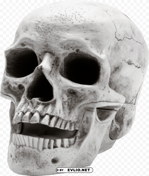 skeleton skull Isolated Icon with Clear Background PNG