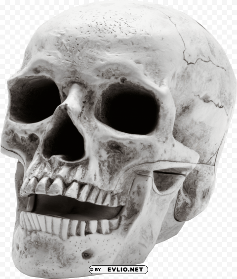 Transparent background PNG image of skull Transparent PNG Isolated Artwork - Image ID fb0c409d