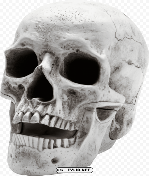 skull open mouth Isolated Object with Transparency in PNG