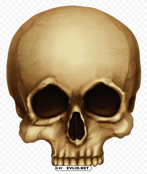 brown skull small Isolated Illustration with Clear Background PNG