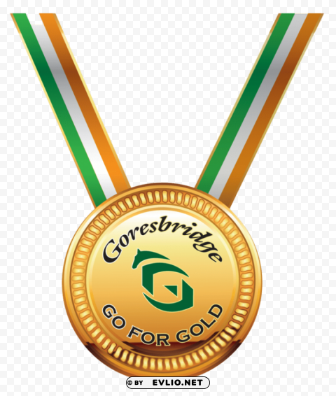 gold medal PNG with cutout background
