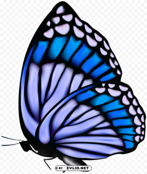 butterfly PNG Image with Transparent Isolated Design clipart png photo - 24859d30