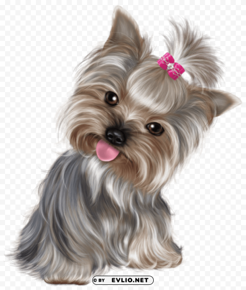 cute puppies s Transparent background PNG photos