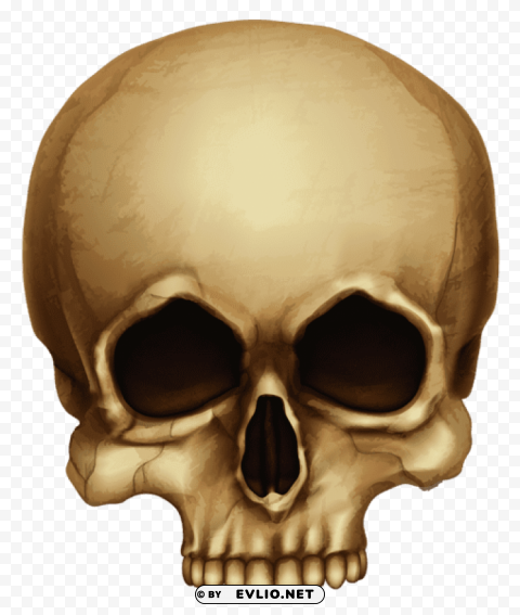 halloween skull Free PNG file