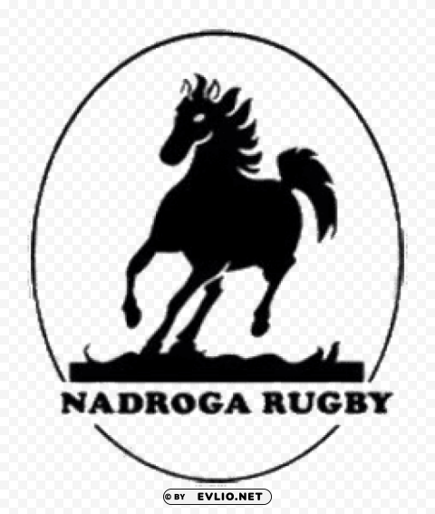 nadroga rugby logo PNG transparent graphic