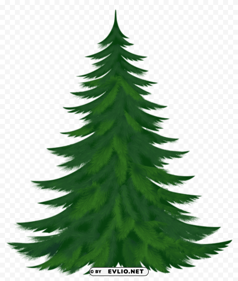  pine tree Free PNG images with transparent layers compilation