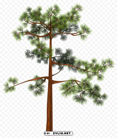 tree Isolated Item with Transparent PNG Background