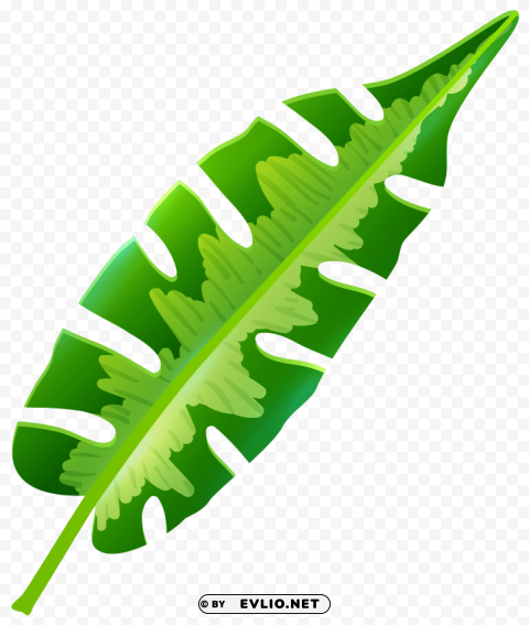 tropical leaf PNG images with no background needed