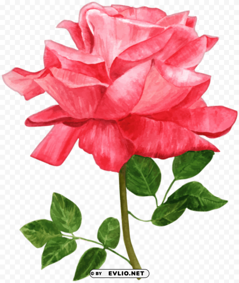 PNG image of watercolor rose High-resolution transparent PNG images assortment with a clear background - Image ID 7cecfcb3