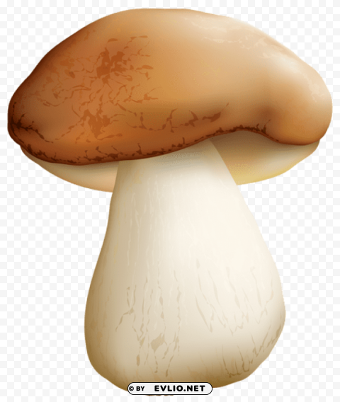 Mushroom Isolated Element On HighQuality PNG