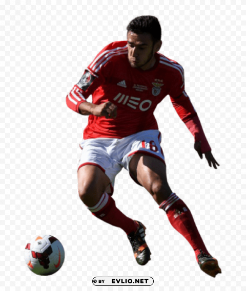 Download eduardo salvio Transparent Background PNG Isolation png images background ID 75b2be9d