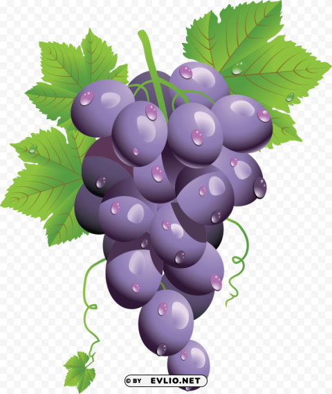 grapes PNG images without BG