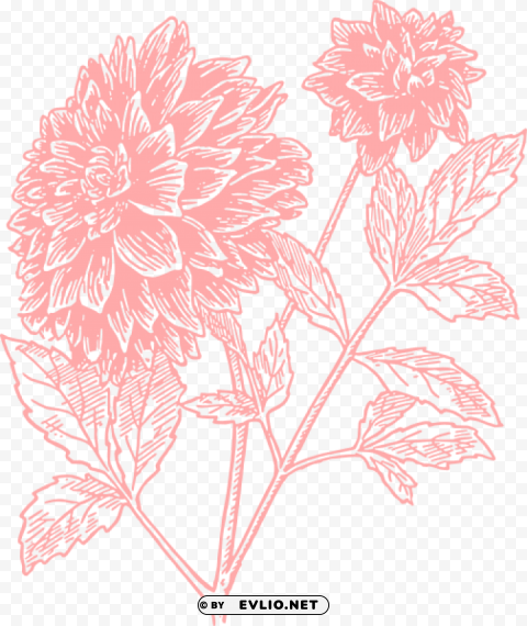 Flower Print PNG Files With Clear Background Bulk Download