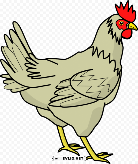 chicken PNG free download