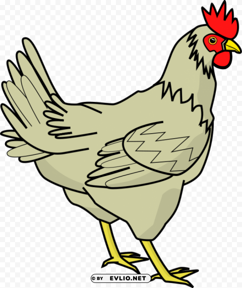 Chicken PNG Free Download