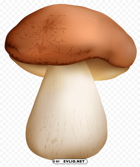 boletus mushroom Transparent PNG images complete library clipart png photo - 4c95e501