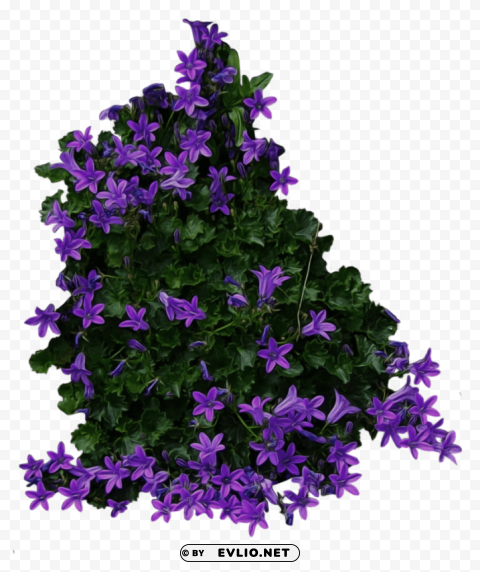bush with purple flowers Free download PNG with alpha channel extensive images
