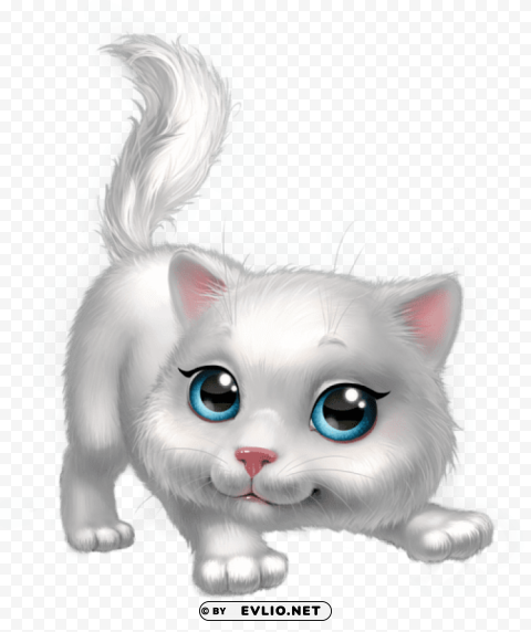 cute white kitten Clear PNG pictures assortment