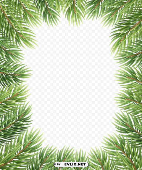 pine border Isolated Artwork in Transparent PNG