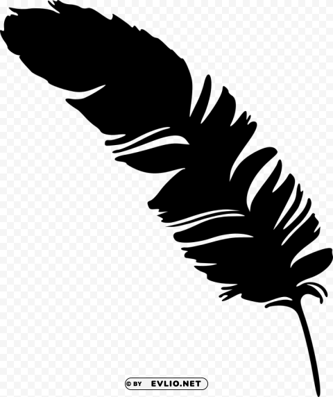 simple feather silhouette HighResolution PNG Isolated Illustration