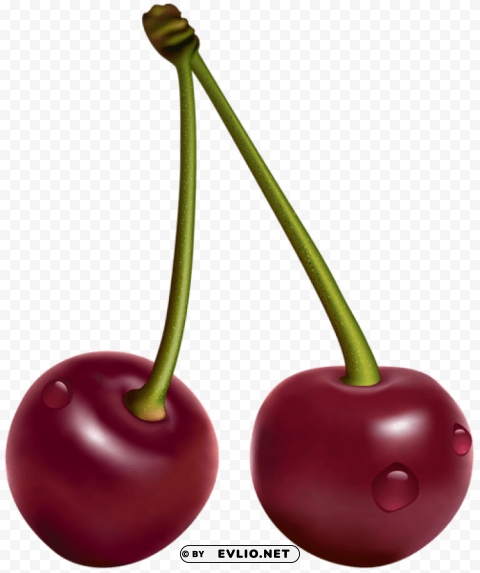 cherries PNG transparent images for printing