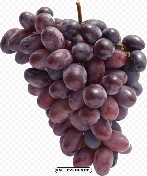 red grapes Isolated Icon in Transparent PNG Format