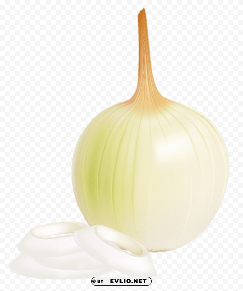 onion Isolated Icon in Transparent PNG Format