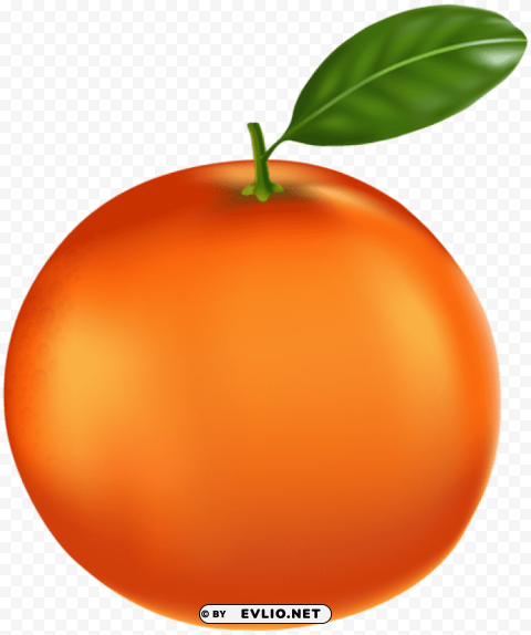 tangerine PNG for social media