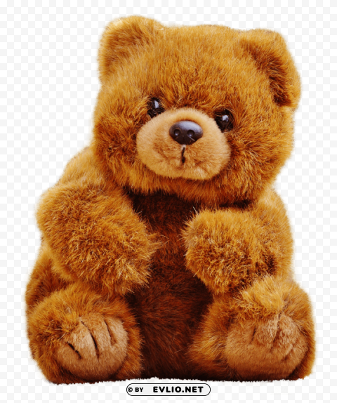 teddy bear Isolated Element on HighQuality Transparent PNG