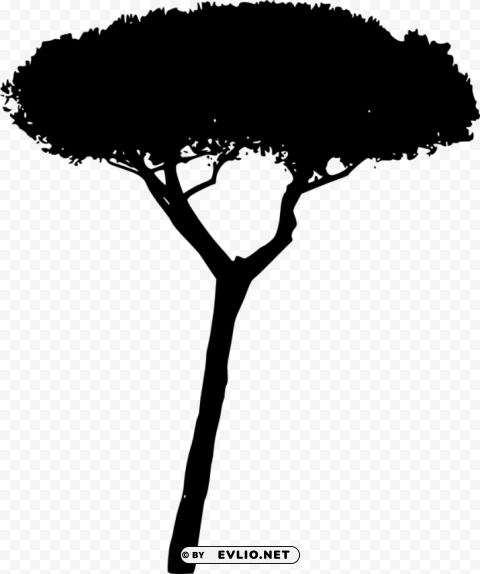 tree silhouette HighResolution Isolated PNG Image