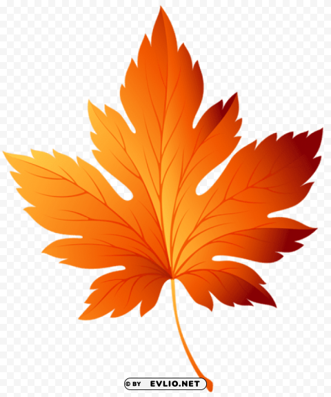 autumn leaf transparent PNG images for websites