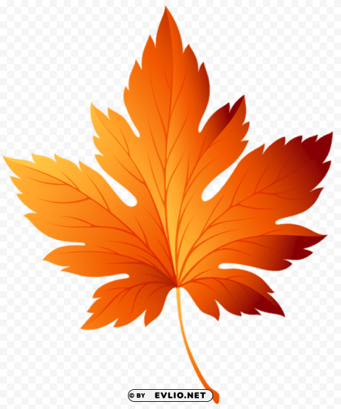 Autumn Leaf Transparent PNG Images For Websites