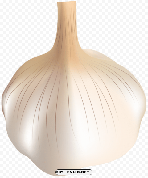 garlic PNG pictures with alpha transparency