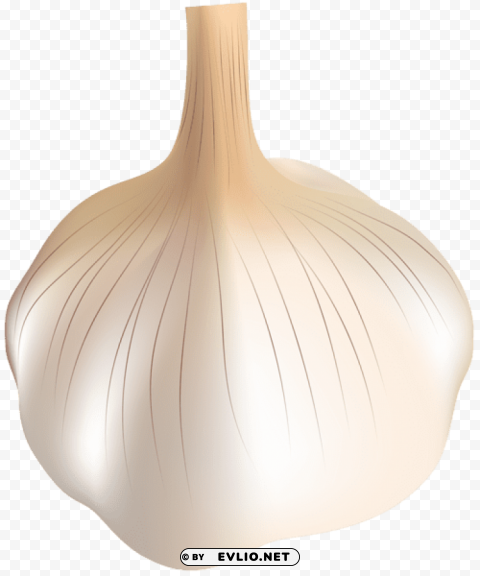 Garlic PNG Pictures With Alpha Transparency