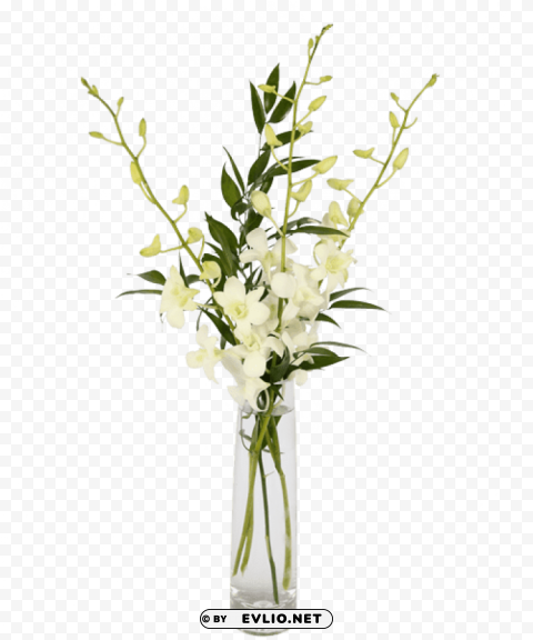 orchid flower bud vase PNG for digital design
