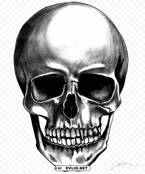 skulls PNG high quality